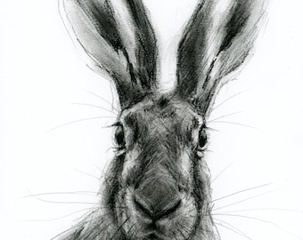 Charcoal Hare Drawing - Original Artwork - A4 size