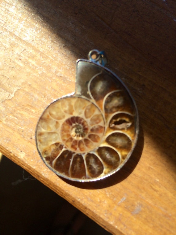 Hand Made 925 Silver and Ammonite Fossil Pendant … - image 2