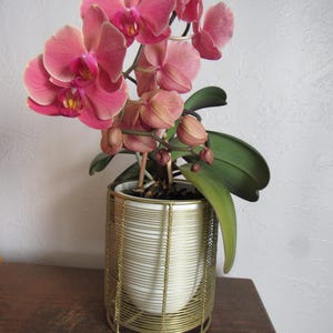 Gold Metal Plant Pot Holder