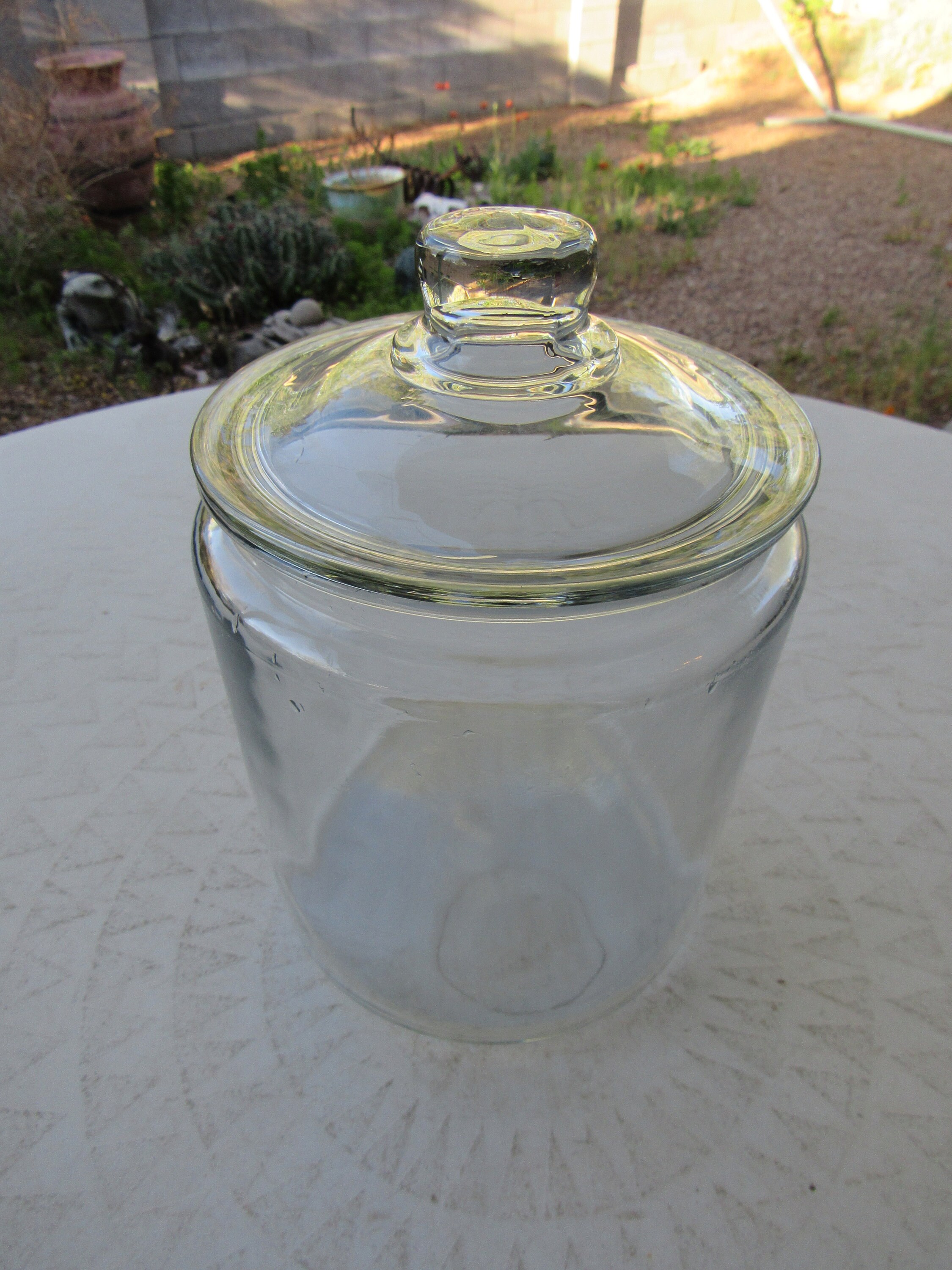 large clear glass canisters