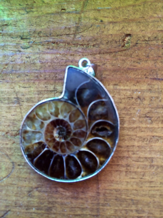 Hand Made 925 Silver and Ammonite Fossil Pendant … - image 3