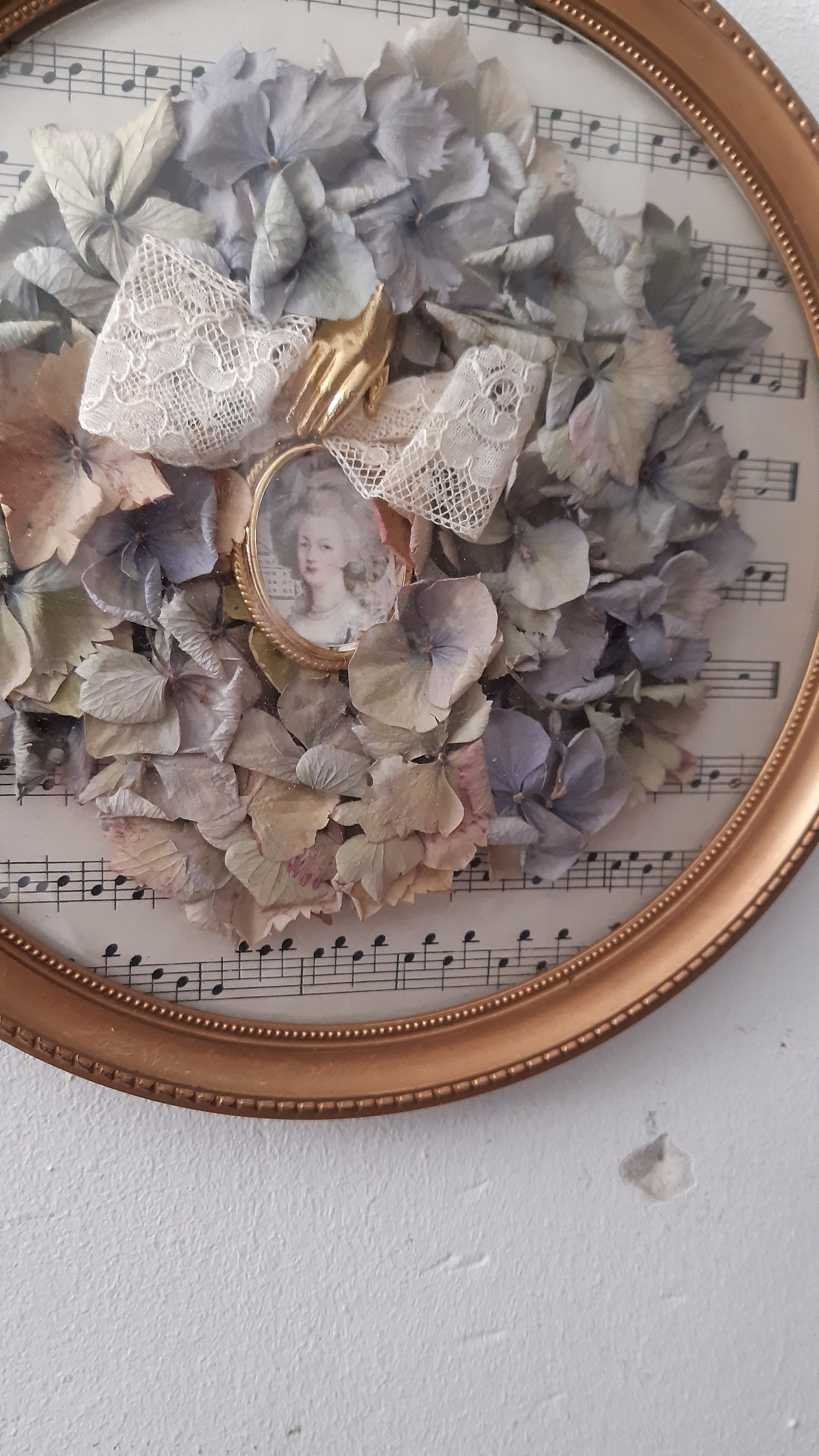 Cadre Sous Verre Bombe Hortensias, et Médaillon Marie-Antoinette Cabinet de Curiosités