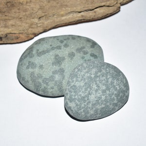 May include: Two smooth, gray stones with darker mottled patterns. The stones are oval-shaped and rest on a white surface, with a piece of driftwood in the background. The stones have a natural, organic appearance.
