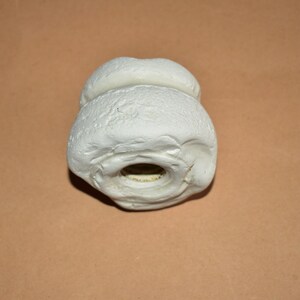 May include: White dog chew toy with a textured surface and a hole in the center.