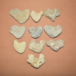 Heart Stones 10 pcs 1.3-2&quot; Real Genuine Heart Shaped Stones Heart Hag Stones Rocks Bulk Natural Real Love Pebble Craft Stones Mosaic Stones