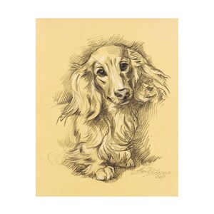 Dog portrait. Long Haired Dachshund Doxie-8.~ Instant Download ~ Printable artwork~ Sketch~Drawing by Alena Nikifarava ~ JPEG file