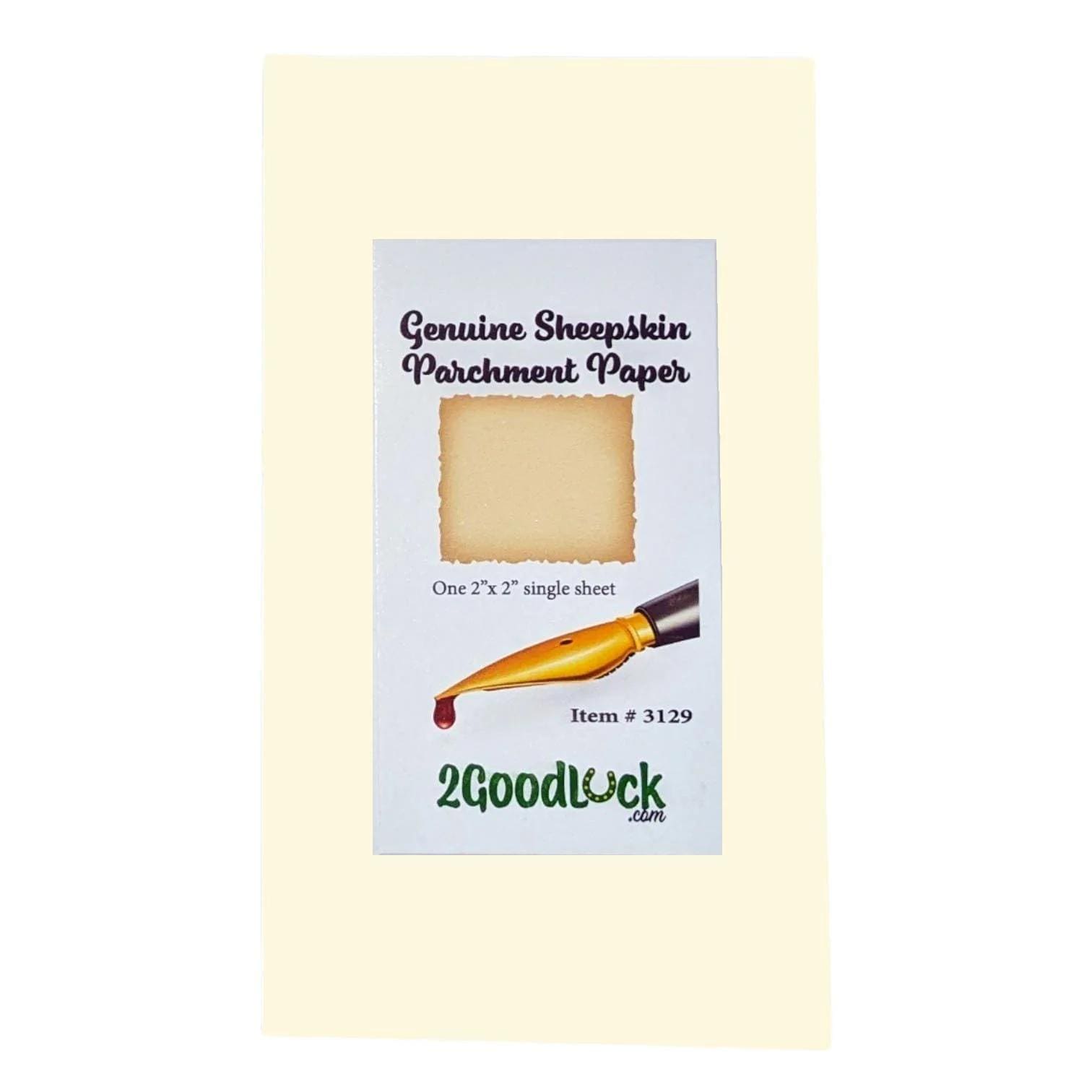 Two Parchment Samples Sheepskin Parchment
