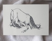 Items Similar To Unicorn Drawing Unicorn Postcard Unicorn