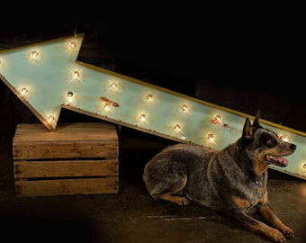 May include: A blue and yellow arrow sign with light bulbs, a wooden crate, and a blue heeler dog lying on the floor.