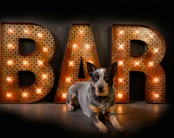 BAR letter Package, Bar sign, Cafe sign, Lighted Metal Marquee Bar SIGN, Marquee Light, Marquee Letter: Pub Style "BAR" sign
