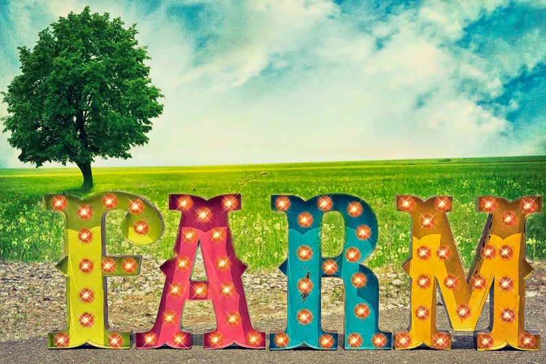 Marquee Letter Neon Signs Marquee Light Carnival Letter Etsy