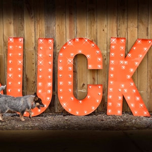 Custom Marquee Signs, Neon Signs, Outdoor Marquee Sign, Vintage Style Marquee Sign, Custom Verbiage Sign, Marquee sign, Marquee Sign Units