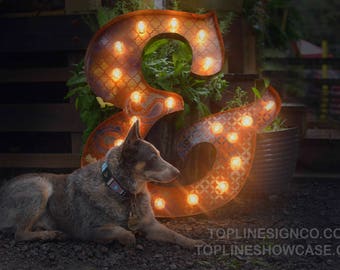 Marquee Letter Ampersand, marquee light, carnival letter, wedding sign, Lighted MARQUEE SIGN: Vintage Venetian Ampersand