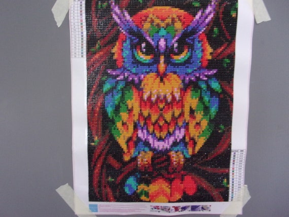 Completed Colourful Night Owl 5D Diamond Art Painting. home Decor/gift 