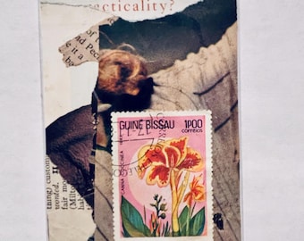 May include: A rectangular collage featuring a Guiné-Bissau 1P00 postage stamp with a red and yellow Canna Coccinea flower illustration. The background consists of torn paper fragments with printed text including the word cticality.