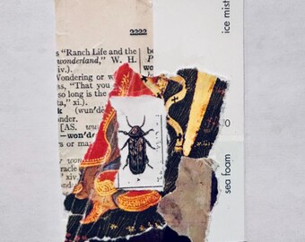 May include: A mixed media collage on paper featuring a dictionary page fragment with the text Ranch Life and the wonderland, layered with torn pieces of red, gold, and black patterned fabric, and a small rectangular print of a black beetle.