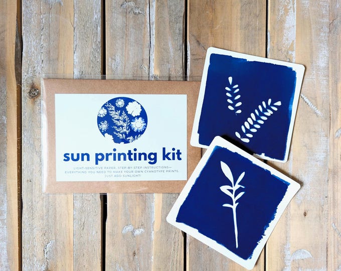 DIY Cyanotype Sun Printing Kit with Botanicals, Light-Sensitive Paper