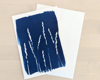 Wenskaart veldgrassen cyanotype: handgemaakte botanische print