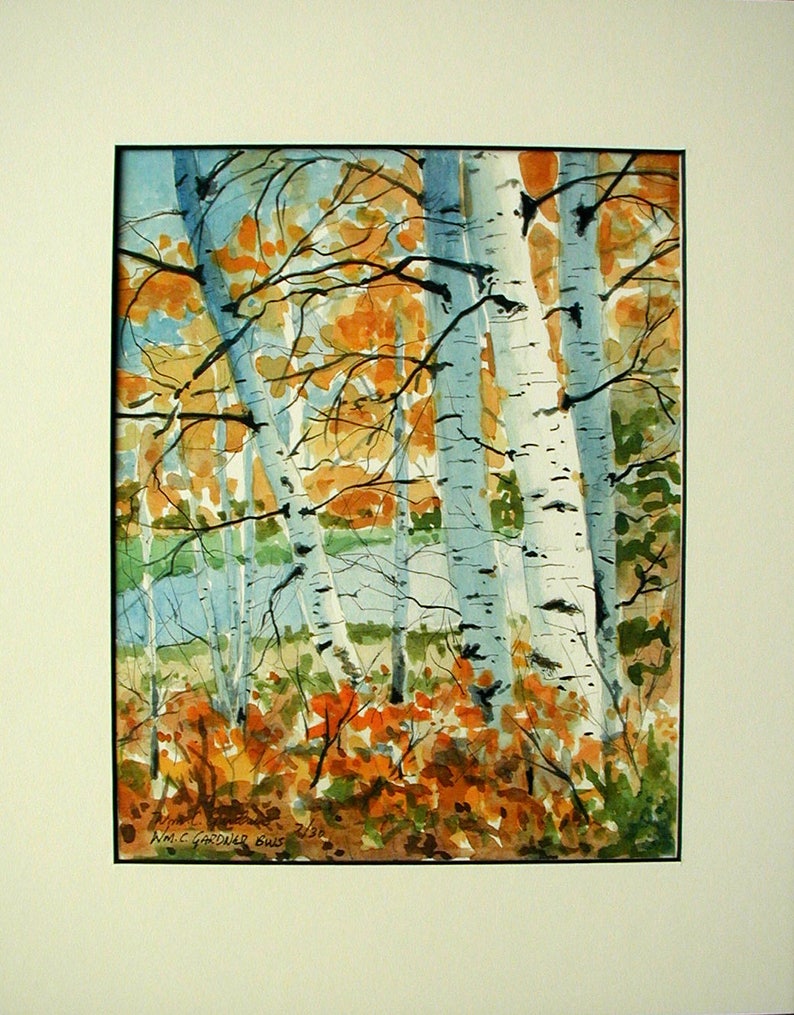 Birch Trees in Fall Limited edition signed watercolor print. landscape woods image 2