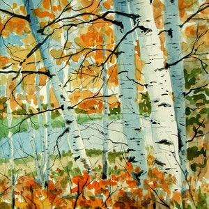 Birch Trees in Fall Limited edition signed watercolor print. landscape woods image 1