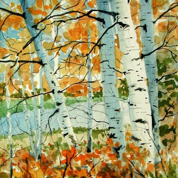 Birch Trees in Fall - Limited edition signed watercolor print.  landscape woods