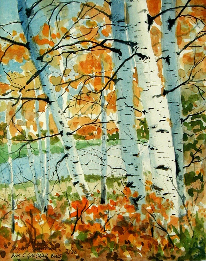 Birch Trees in Fall Limited edition signed watercolor print. landscape woods image 1