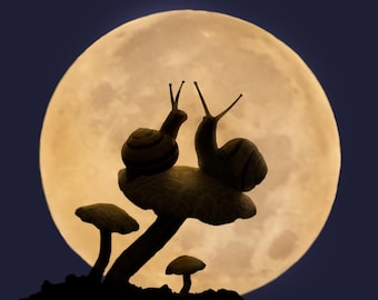 8x10 Photography art of Snail couple in moonlight. Cute anniversary gift for her.