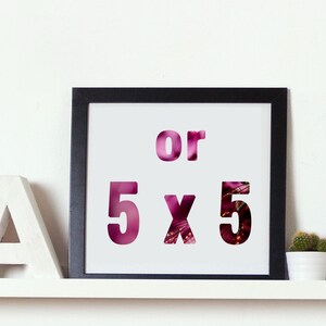 5x7 or 5x5 buy any 3 and get 1 FREE. Discounted set of 4 photography fine art prints of your choice. image 2