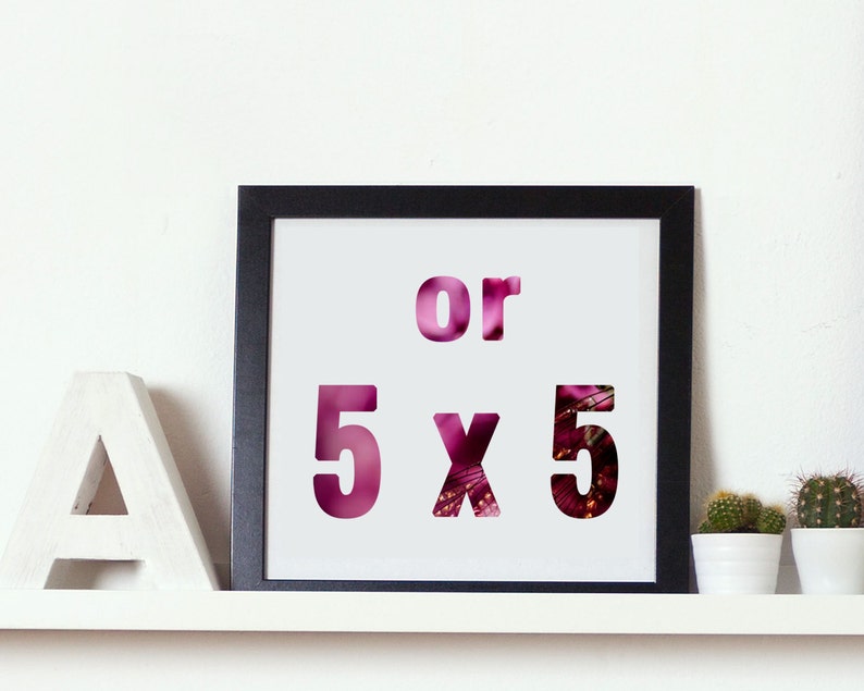 5x7 or 5x5 buy any 3 and get 1 FREE. Discounted set of 4 photography fine art prints of your choice. image 2