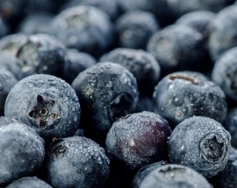 Blueberries: 8x10 food photography art