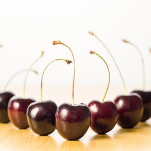 Cherry Chorus Line: 8x10 food picture available in other sizes. image 1