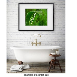 Lily of the Valley Rain: 8x10 floral photography print image 2