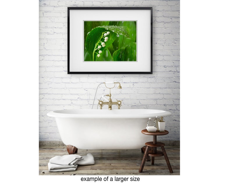 Lily of the Valley Rain: 8x10 floral photography print image 2