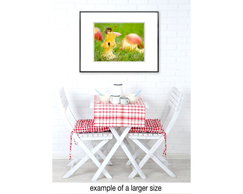 Snail Animal Photography 8x10 Nature Art Photo Print of Snail - Etsy