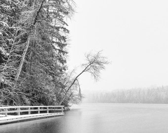 Elk Lake Snow: 8x10 black & white photography image.