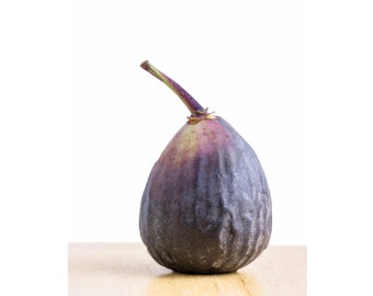 Fig: 8x10 food photography fine art photo.