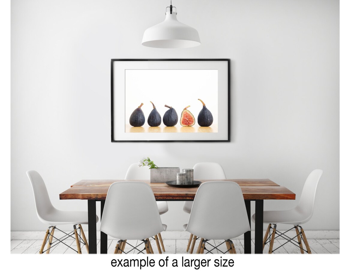 Row of Figs: 8x12 Food Photograph - Etsy