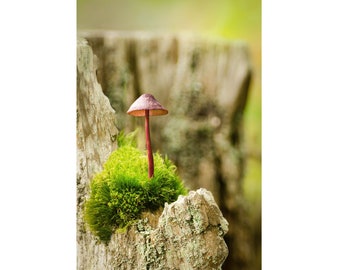 Mushroom Perch: nature greeting card - 5x7" frameable