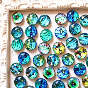 Fridge Magnets Blue Turquoise Magnets Abalone Shell Magnets Refrigerator Bulletin Board 20mm image 3