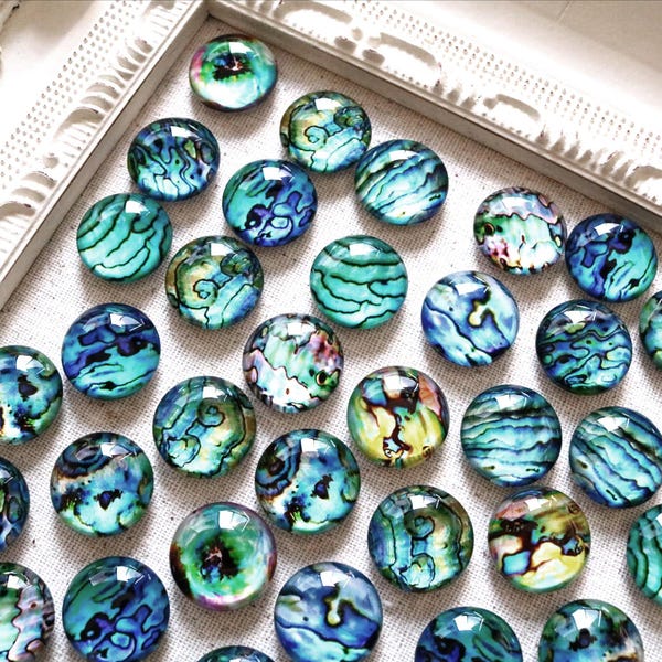 Abalone Shell Fridge Magnets: Turquoise Blue Refrigerator Magnets (Set of 8)