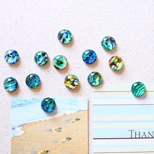 Fridge Magnets Blue Turquoise Magnets Abalone Shell Magnets Refrigerator Bulletin Board 20mm image 8