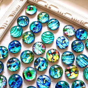 Fridge Magnets Blue Turquoise Magnets Abalone Shell Magnets Refrigerator Bulletin Board 20mm image 1