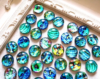 Fridge Magnets Blue Turquoise Magnets Abalone Shell Magnets Refrigerator Bulletin Board 20mm