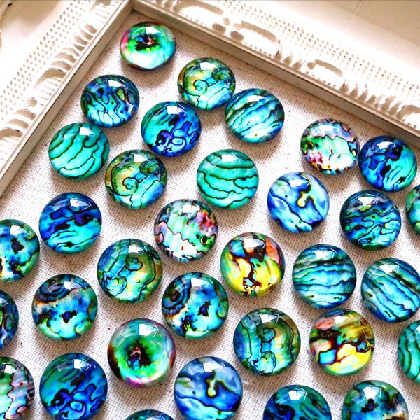 Fridge Magnets Blue Turquoise Magnets Abalone Shell Magnets Refrigerator Bulletin Board 20mm