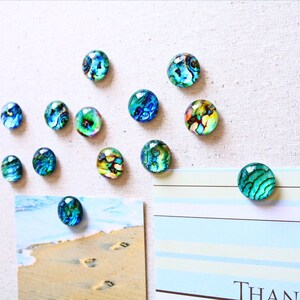 Fridge Magnets Blue Turquoise Magnets Abalone Shell Magnets Refrigerator Bulletin Board 20mm image 2