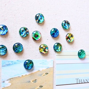 Fridge Magnets Blue Turquoise Magnets Abalone Shell Magnets Refrigerator Bulletin Board 20mm image 4