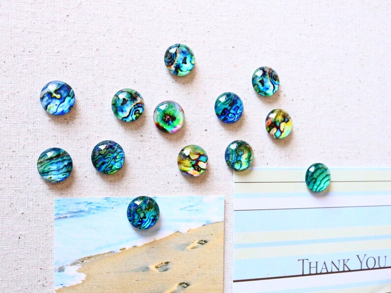 Fridge Magnets Blue Turquoise Magnets Abalone Shell Magnets Refrigerator Bulletin Board 20mm image 4