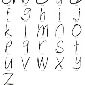 Jazzy Zebra Lower case letter sketch font machine embroidery designs