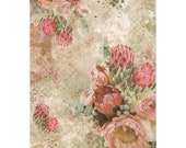 Ciao Bella Decoupage PROTEA FLORAL Rice Paper A4 Mixed Media - CBRP064