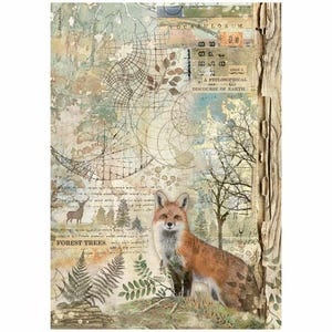 Papier de riz pour découpage SAMPERIA FOREST FOX A4 #DFSA4951